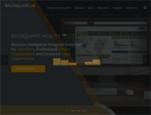 Tablet Screenshot of bigsquare.com